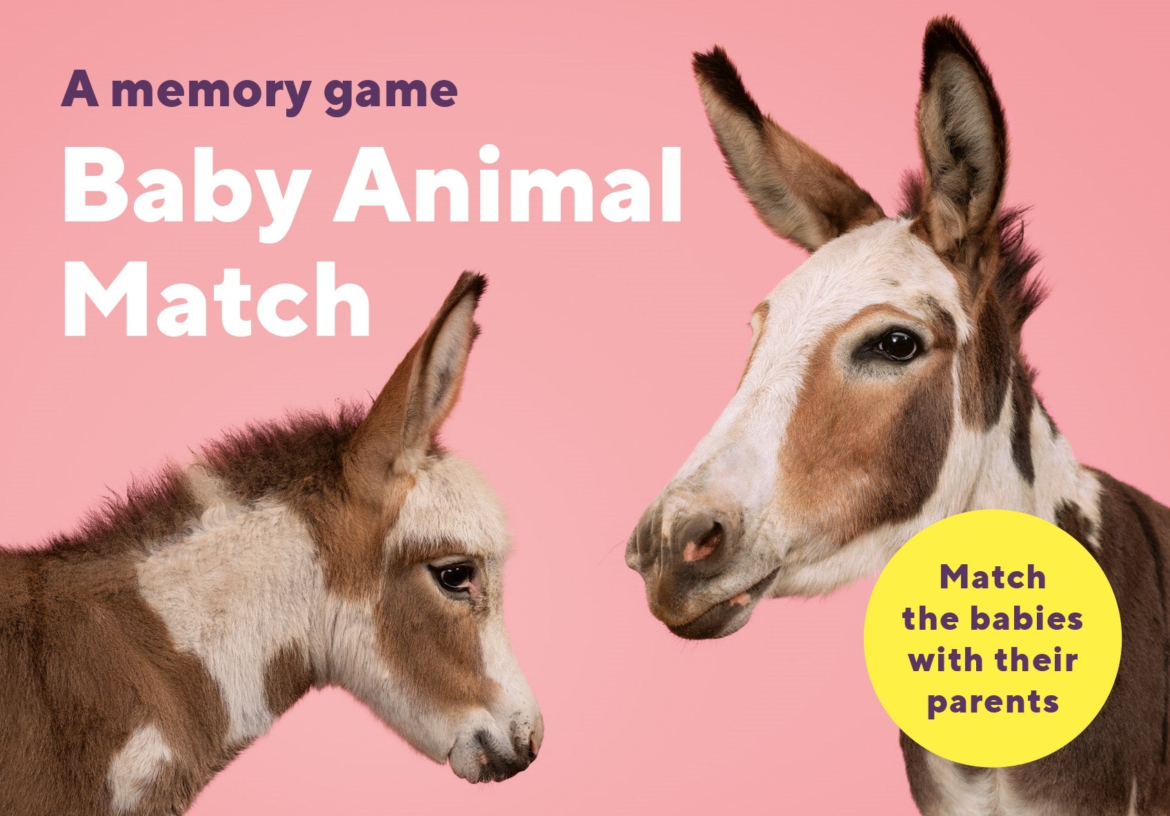 Baby Animal Match | Laurence King Verlag