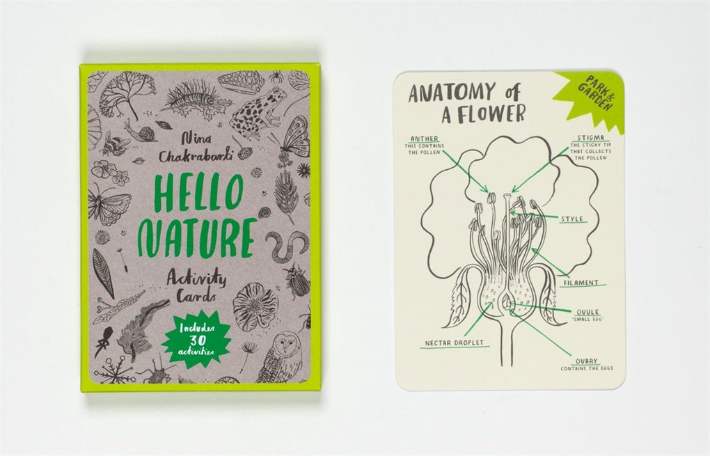 Hello Nature Activity Cards by Anna Claybourne, Nina Chakrabarti