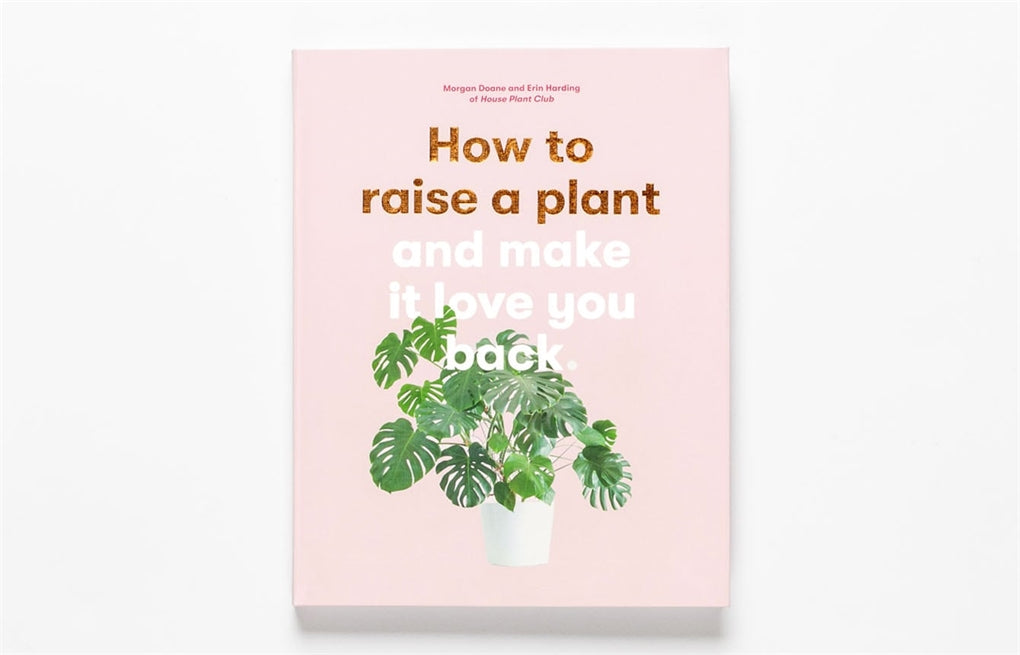 How to Raise a Plant by Morgan Doane, Erin Harding