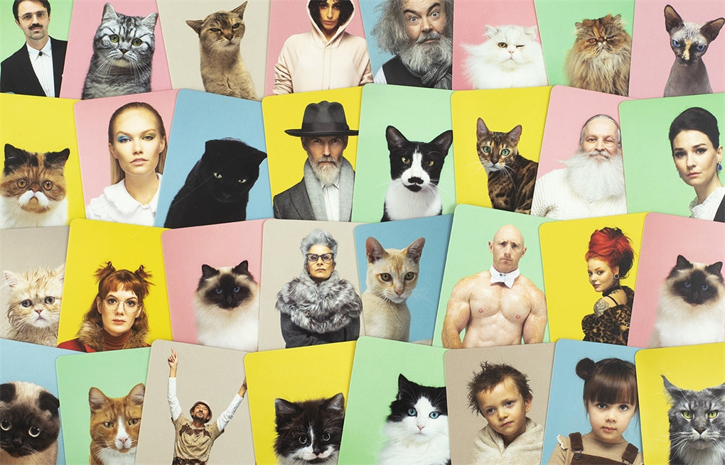 Do You Look Like Your Cat? by Debora Robertson, Gerrard Gethings